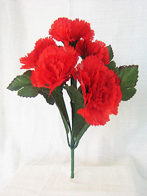 <img src="carnation.jpg" alt="a bunch of carnations"> 
