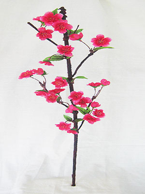 <img src="cherry_blossom.jpg" alt="a branch of cherry blossom"> 