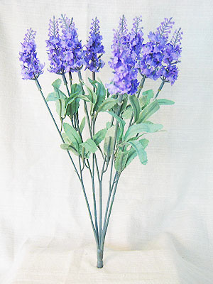 <img src="lavender.jpg" alt="a bunch of lavender"> 