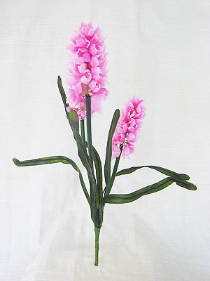 <img src="muscari.jpg" alt="a bunch of muscari"> 