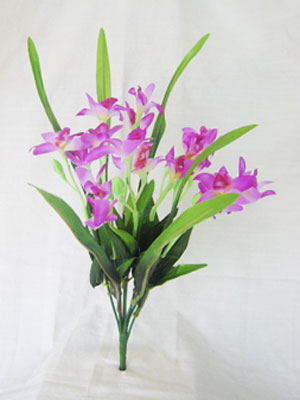 <img src="orchid.jpg" alt="a bunch of orchids"> 