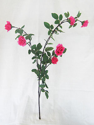 <img src="red_rose.jpg" alt="a branch of red roses"> 
