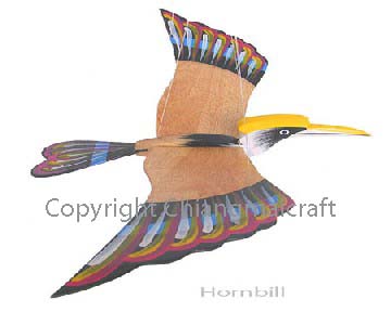 hornbill bird