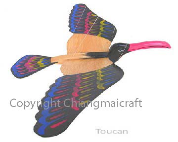 toucan bird